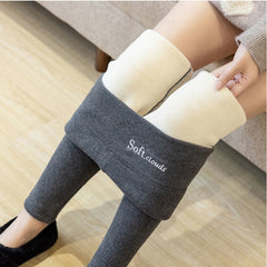 Women's Casual Warm Winter Solid Pants (Buy 3 Free Shipping)