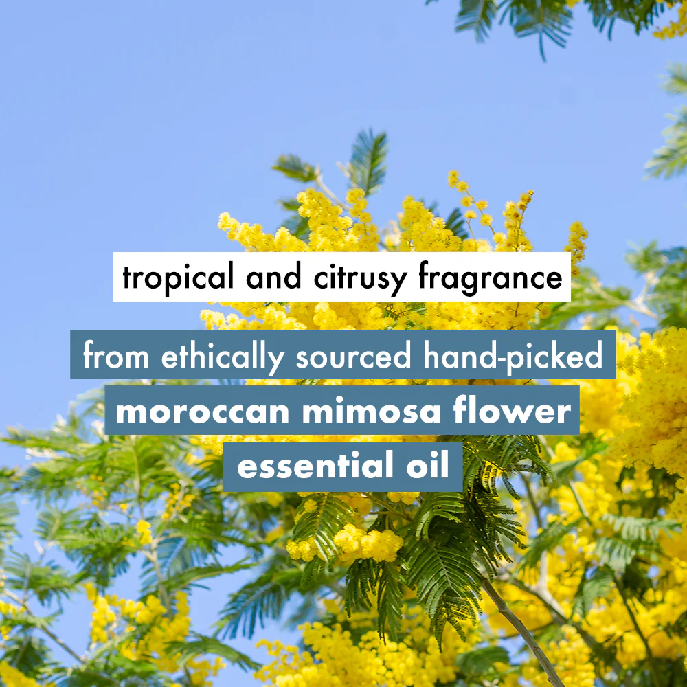 Coconut Water & Mimosa Flower Shampoo - 400 ml - Image 5