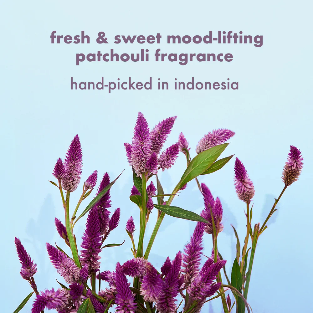 Onion, Black Seed & Patchouli Shampoo + Conditioner Combo - 200 ml Each - Image 5