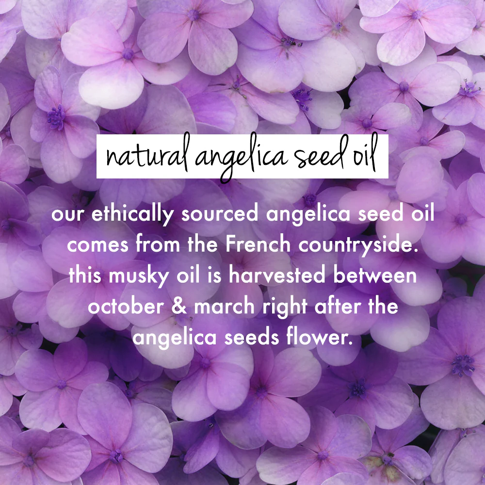 Rice Water & Angelica Seed Oil Hair Mask - Image 5