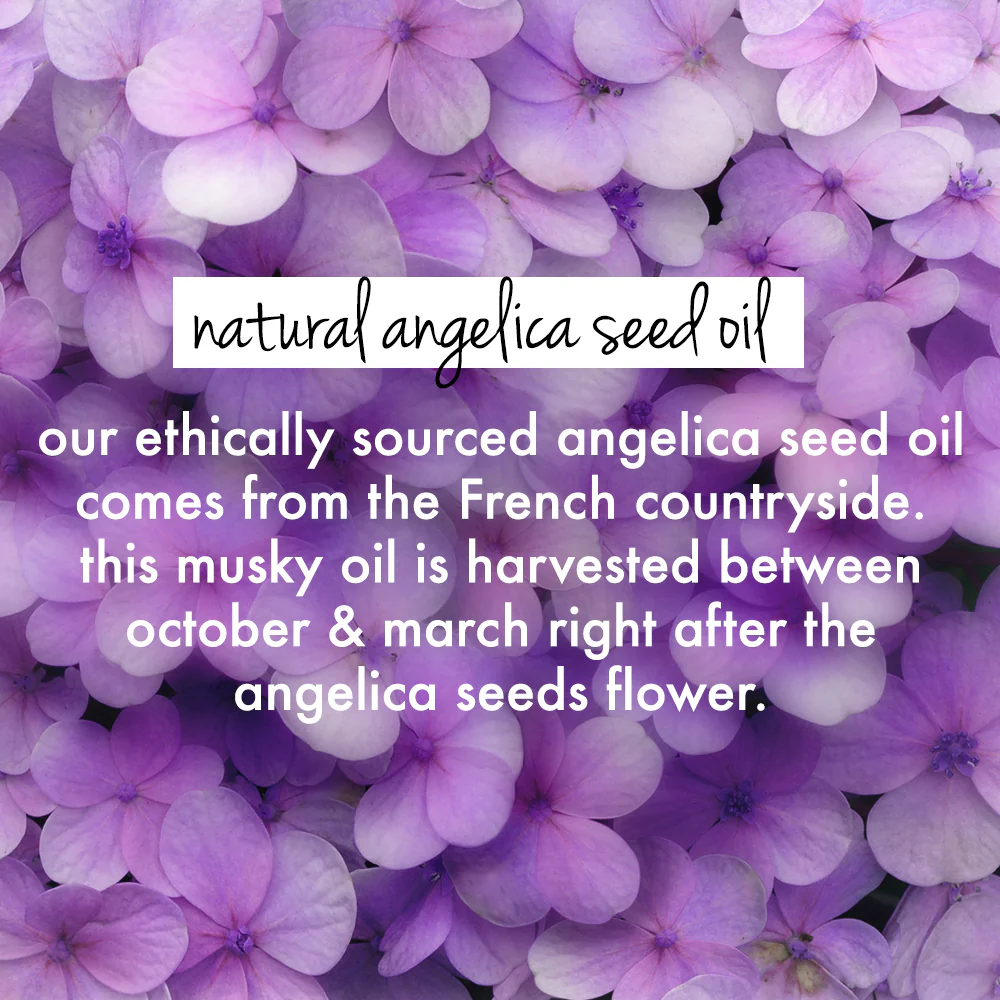 Rice Water & Angelica Seed Oil Silicone Free Leave-In Conditioner - Image 5